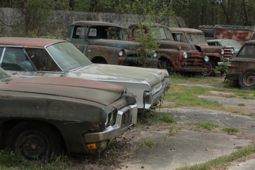 2019SouthernUSA-284FullHD