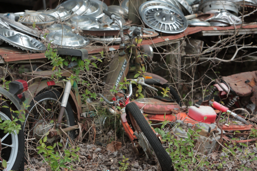 2019SouthernUSA-285FullHD