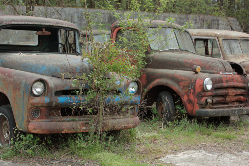 2019SouthernUSA-286FullHD