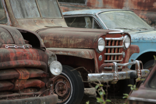 2019SouthernUSA-287FullHD