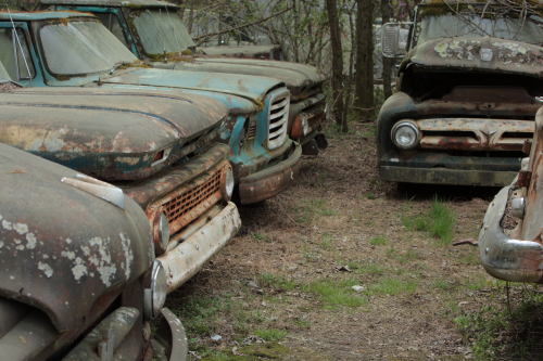 2019SouthernUSA-288FullHD