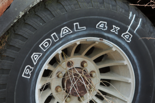 2019SouthernUSA-289FullHD