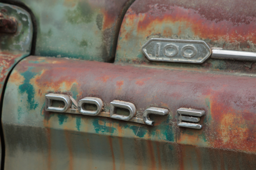 2019SouthernUSA-290FullHD