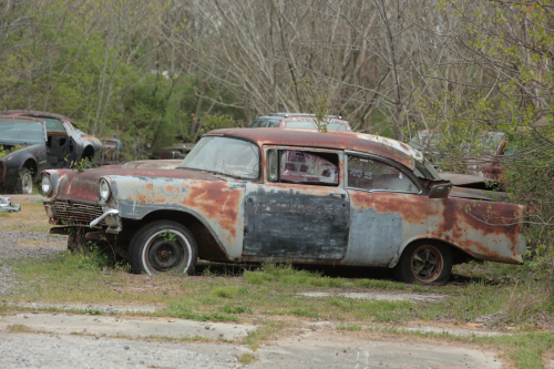 2019SouthernUSA-291FullHD