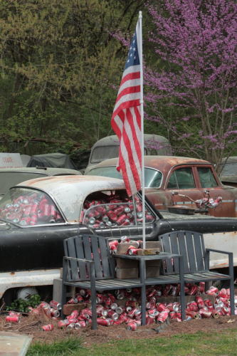 2019SouthernUSA-293FullHD