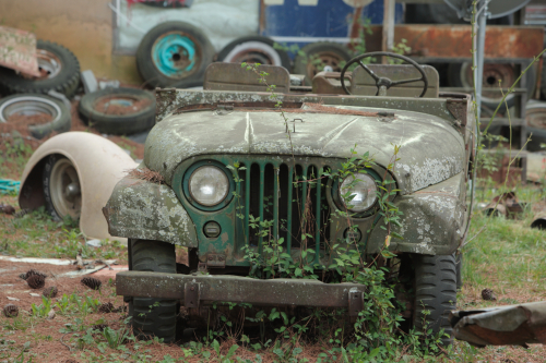 2019SouthernUSA-294FullHD