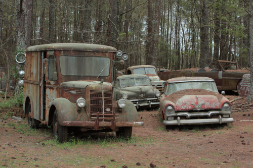 2019SouthernUSA-295FullHD