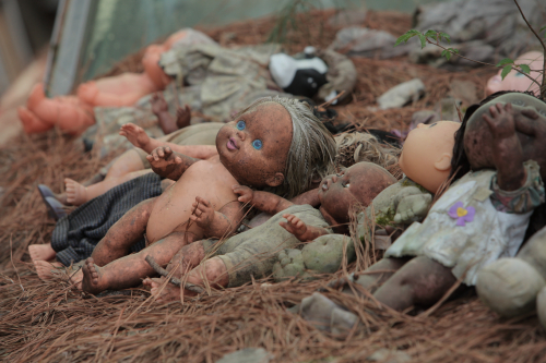 2019SouthernUSA-299FullHD