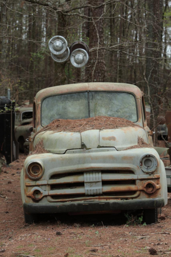 2019SouthernUSA-300FullHD