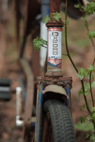 2019SouthernUSA-302FullHD