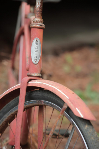 2019SouthernUSA-304FullHD