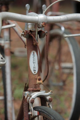 2019SouthernUSA-306FullHD