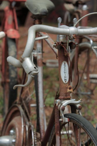 2019SouthernUSA-307FullHD