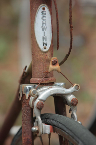 2019SouthernUSA-308FullHD