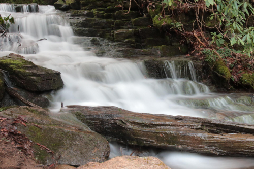 2019SouthernUSA-474FullHD