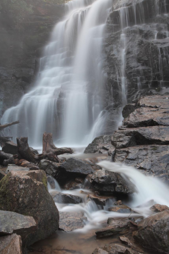 2019SouthernUSA-479FullHD