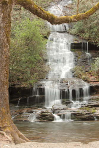 2019SouthernUSA-489FullHD