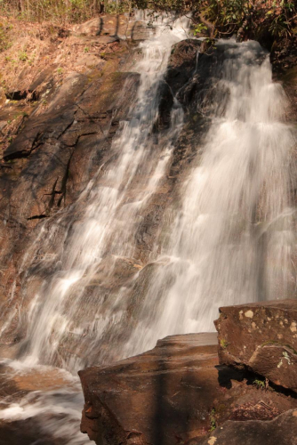 2019SouthernUSA-496FullHD