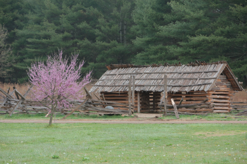 2019SouthernUSA-615FullHD