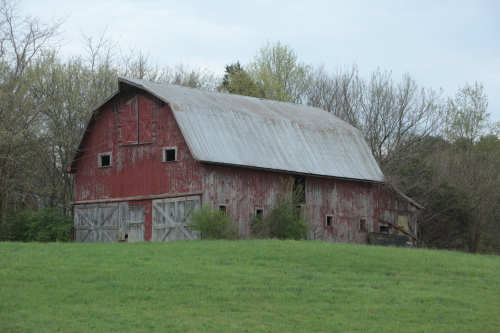 2019SouthernUSA-616FullHD