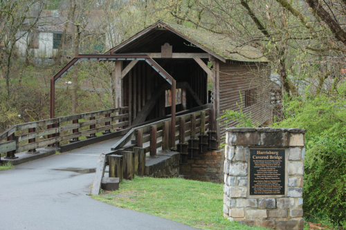 2019SouthernUSA-627FullHD