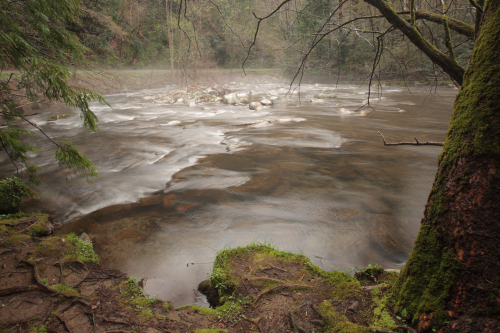 2019SouthernUSA-631FullHD