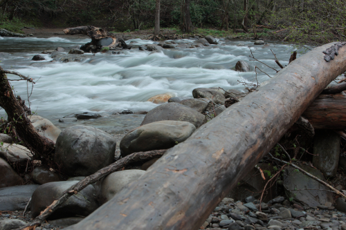 2019SouthernUSA-638FullHD