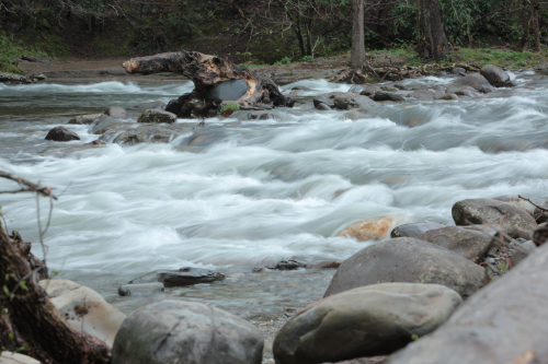 2019SouthernUSA-639FullHD