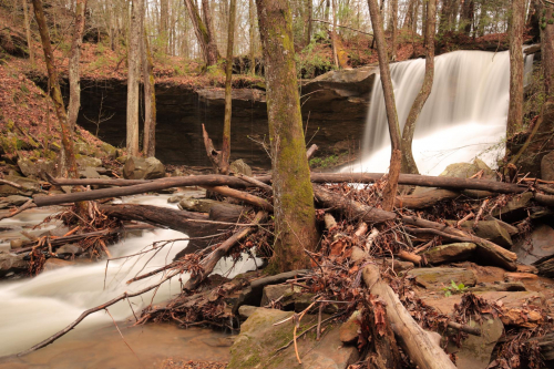 2019SouthernUSA-649FullHD