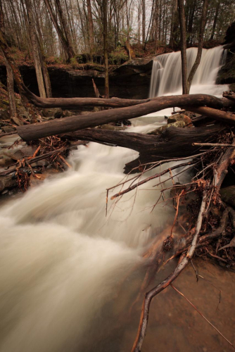 2019SouthernUSA-651FullHD