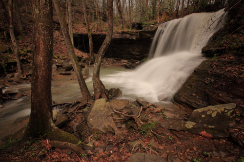 2019SouthernUSA-652FullHD