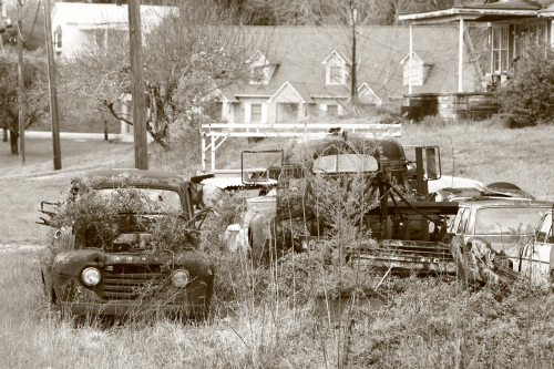 2019SouthernUSA-654FullHD