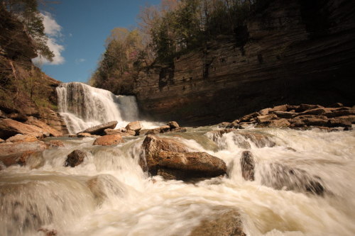 2019SouthernUSA-674FullHD