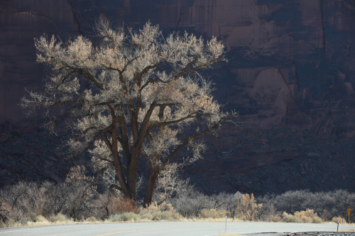 2022-Denver-214FullHD