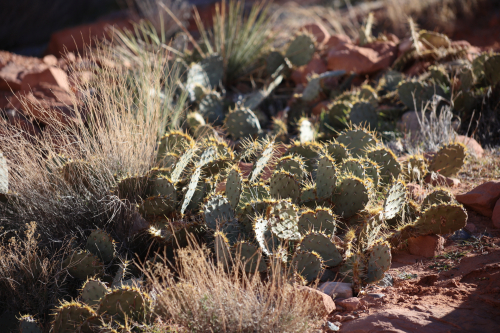 2022-Denver-268FullHD