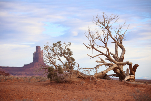 2022-Denver-331FullHD