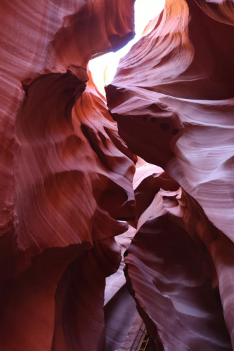 2022-Denver-454FullHD