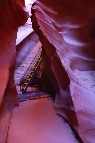 2022-Denver-455FullHD