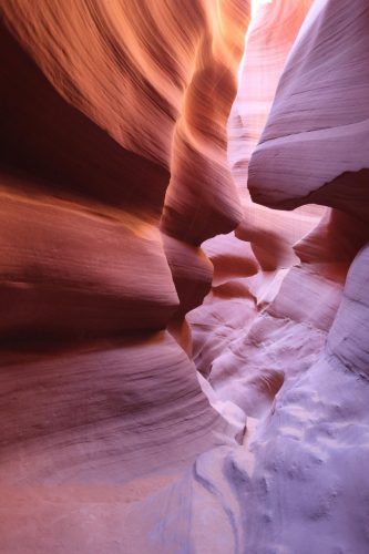 2022-Denver-485FullHD