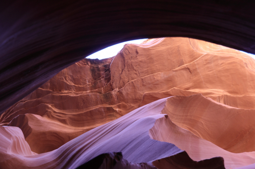 2022-Denver-515FullHD