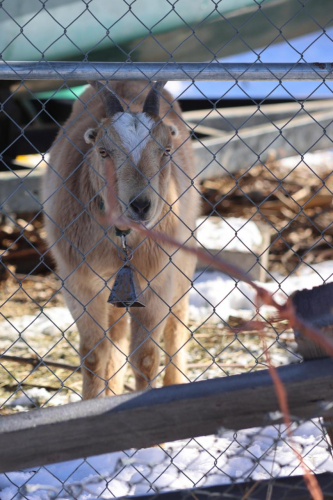 2022-Denver-630FullHD