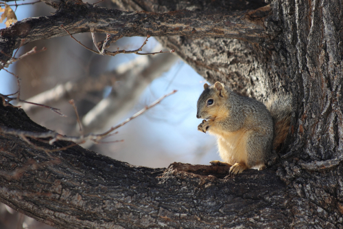 2022-Denver-649FullHD