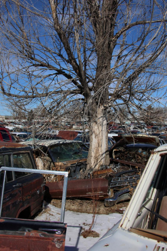 2022-Denver-736FullHD