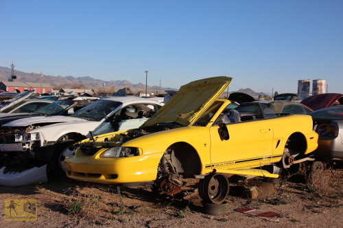 2023-BigCircleII-0028fhd