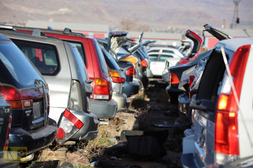 2023-BigCircleII-0038fhd