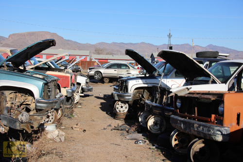 2023-BigCircleII-0074fhd