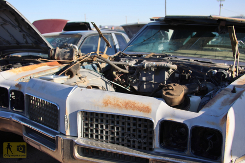 2023-BigCircleII-0077fhd