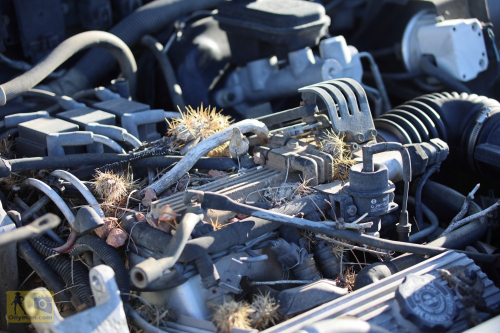 2023-BigCircleII-0078fhd