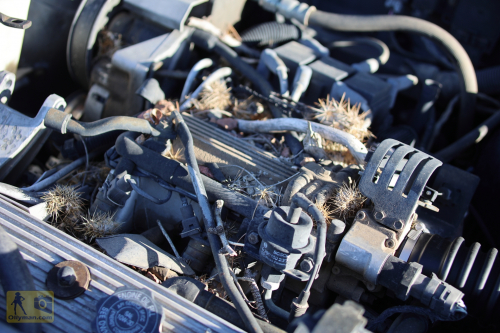 2023-BigCircleII-0079fhd