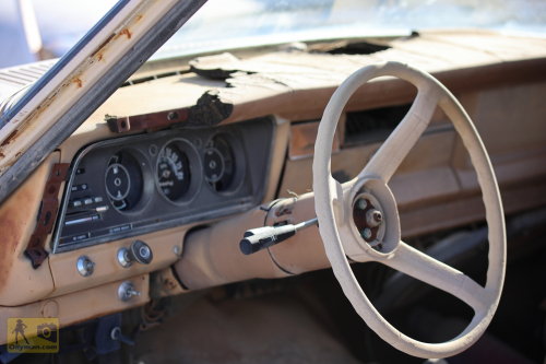 2023-BigCircleII-0142fhd